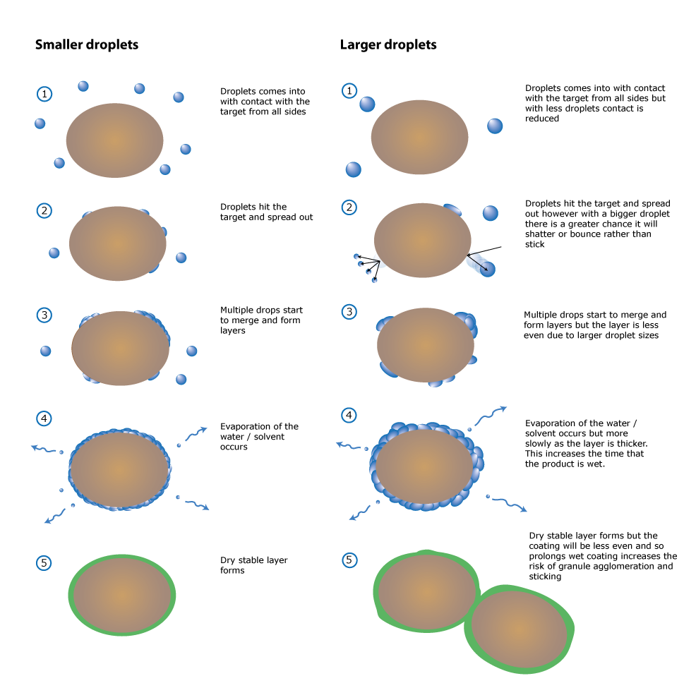 Droplet Size Adhesion