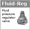 Fluid pressure regulator Fluid pressure regulator